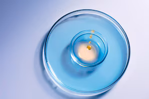 Image Navbar Artikel